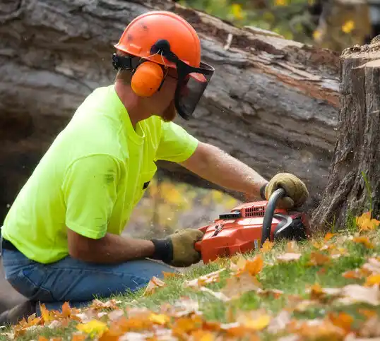 tree services Princeville